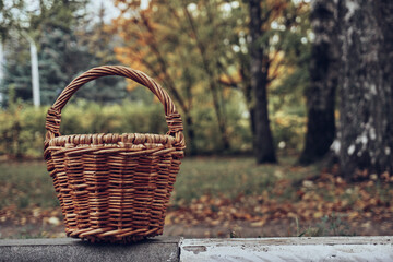 Autumn park with green grass and dry leaves. On the curb is a handmade knitted basket. Lots of free space. Soft selective focus
