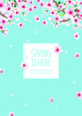 벗꽃 배경 일러스트