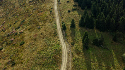 Aerial rocky woods road view among green spruce trees growing grassy hills