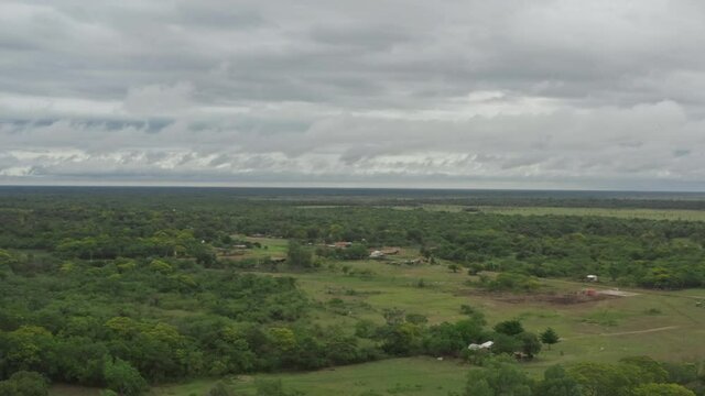 Aerial view of the nature of Paraguay. Beautiful trees in the forest landscape.