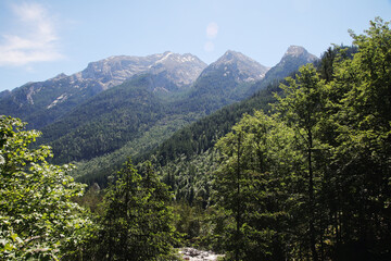 Fototapeta premium A path through Berchtesgaden National park from Ramsau to Weissbach bei Lofer 