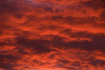 Fototapeta premium 夕焼け空