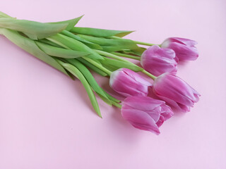The concept of congratulations, a compliment to a woman. A bouquet of pink on a soft pink...