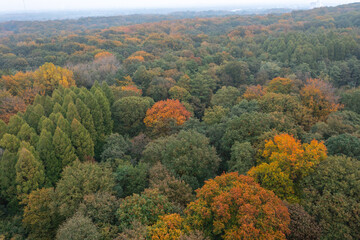 Bird's eye view of the autumn-colored forest in Duisburg, Germany