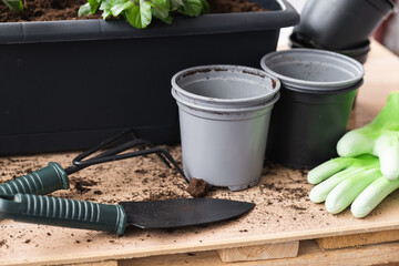 Gardening tools, gloves and flower pots for planting flowers.