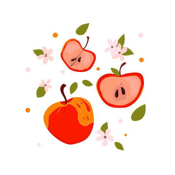 Apples fruts are drawn in a freehand style.Set apples. Bright red apple. Healthy food.