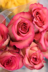 Fototapeta premium bouquet of red roses