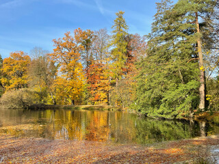 Lake in a park in autumn with colorful leaves and reflections in the water