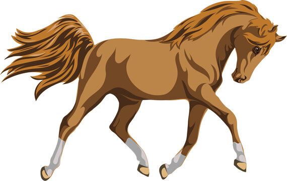 Horse, an image of a galloping horse, a portrait of a horse for a logo in brown