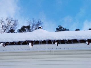 Transparent icicles hanging from the snow-covered roof of a country house against the backdrop of tall trees and a blue sky with clouds.