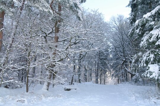 Winterlandschaft