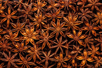 Star anise seeds, full frame. Star anise is used as an aromatic spice in cooking and Chinese...