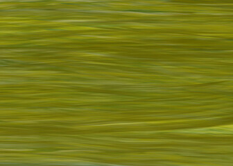 vector green grass abstract background illustration