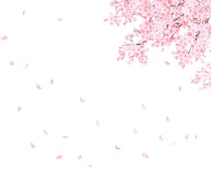 Obraz premium 美しい白いバラの花と水色のブルースターと爽やかなリーフの水彩風フレームベクターイラスト素材