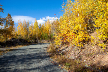 Autumn forest and road along the Vysokaya mountain. Nizhny Tagil. Sverdlovsk region. Russia