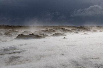 Blizzard on Baltic sea beach in windy day.