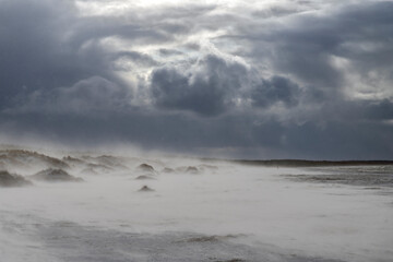 Blizzard on Baltic sea beach in windy day.