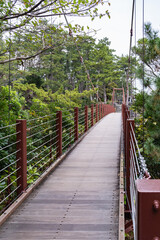 Obraz premium 静岡県 伊東市 城ヶ崎海岸 門脇吊橋