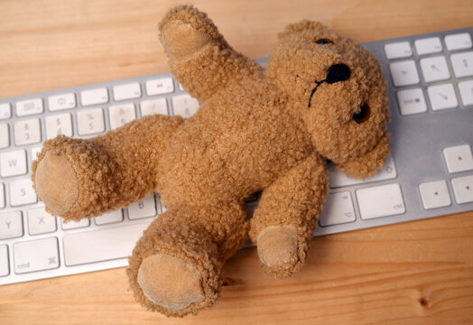 Teddy bear laying a computer keyboard . attention symbol kids and technic