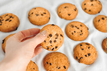 sweet crunchy cookies with dark chocolate for teatime
