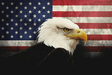 Naklejka premium Bald Eagle and American Flag