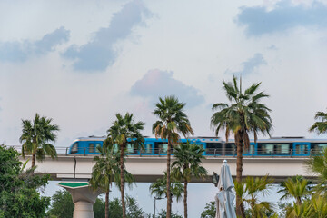 Fototapeta na wymiar Palmen und Brücke mit Zug