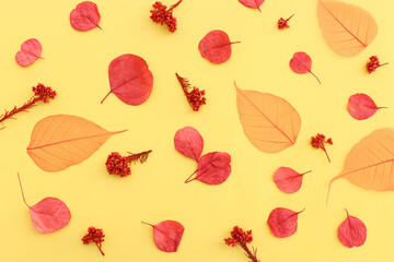 Top view image of autumn forest natural composition over yellow background .Flat lay