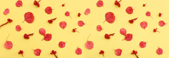 Top view image of autumn forest natural composition over yellow background .Flat lay