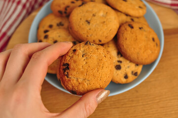 sweet crunchy cookies with dark chocolate for teatime