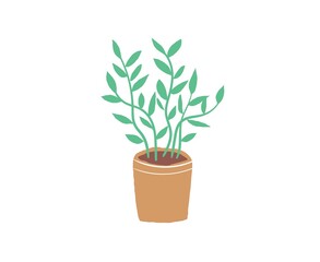 Vector flat cartoon home plant in pot isolated on empty background-modern decoration,room interior elements,comfort home life concept,web site banner ad design