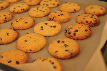 sweet crunchy cookies with dark chocolate for teatime