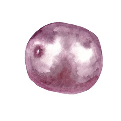 whole passionfruit purple color with highlights