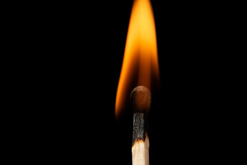 Macro shot of burning match against black background. Lit matchstick isolated on black background