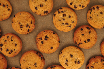 sweet crunchy cookies with dark chocolate for teatime