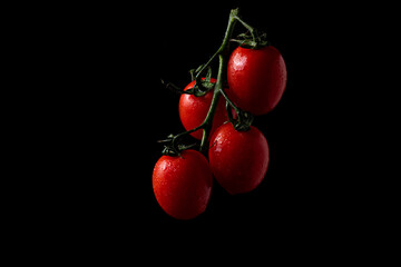 cherry tomatoes on a branch on a black background. Water drops on tomatoes