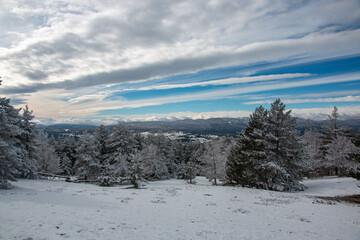 panorama of the Sila National park, Calabria, Italy