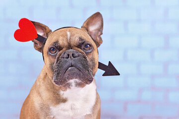 French Bulldog dog with Valentine's day love arrow headband on blue background