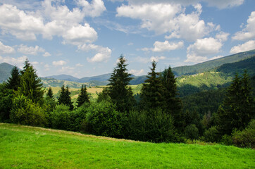 Fototapeta na wymiar Mountain landscape. countryside landscape. beautiful views of the mountains in the summer. green trees and beautiful cloudy sky.