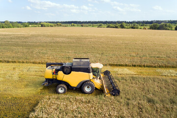Fototapeta na wymiar Aerial view of combine harvester harvesting large ripe wheat field. Agriculture from drone view