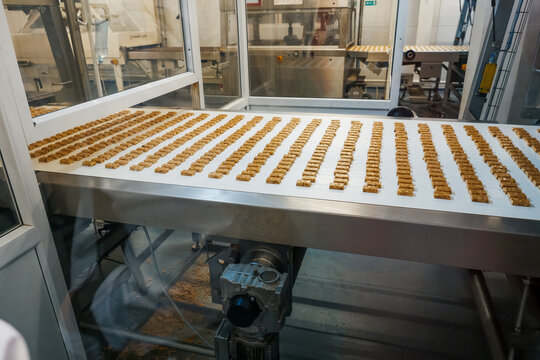 Sweets factory. Sweets production process. Conveyor belt with sweets on it.