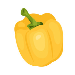 Realistic vector illustration of bell yellow pepper in a flat style isolated on white background. Vitamin c in paprika. Organic eco vegetable for salads.