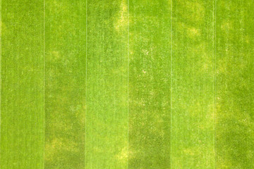 Close up aerial view of surface of green freshly cut grass on football stadium in summer
