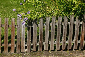 Zaun, Holzzaun, Gartenzaun, Blumen, Deutschland, Europa © detailfoto