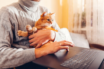 Working online from home with pet using computer. Man typing on laptop with ginger cat in hands looking at screen.
