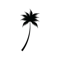 coconut tree icon vector illustration