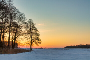 winter landscape. morning frost and sun. dawn over the forest