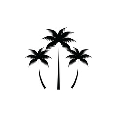 coconut tree icon vector illustration