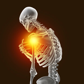 Human skeleton with shoulder pain