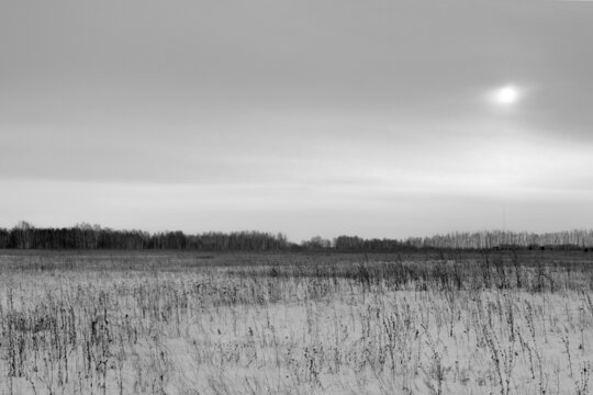 Gloomy gray dull winter landscape. Winter, depression, north. Photo of depressive nature in winter. Joyless endless winter, ecological disaster, oppression. Depression illustration.