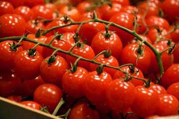 Fresh red organic cherry tomatoes on the counter in the supermarket.